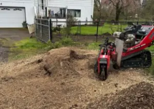 Stump grinding process