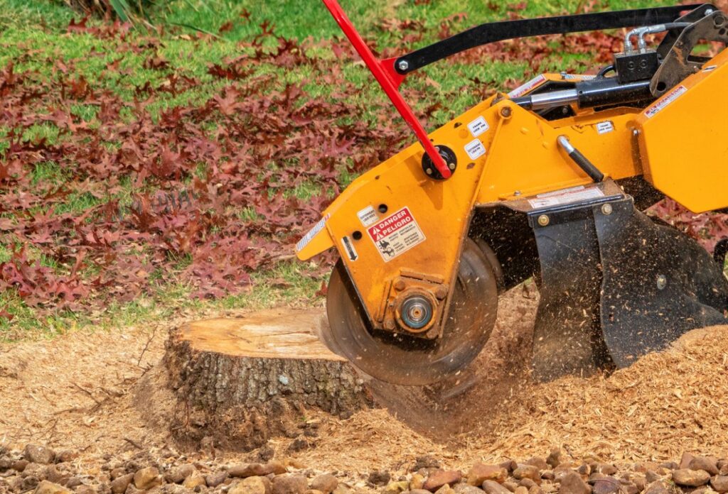 Tree Root Removal Portland: Professional Solutions for Your Landscape