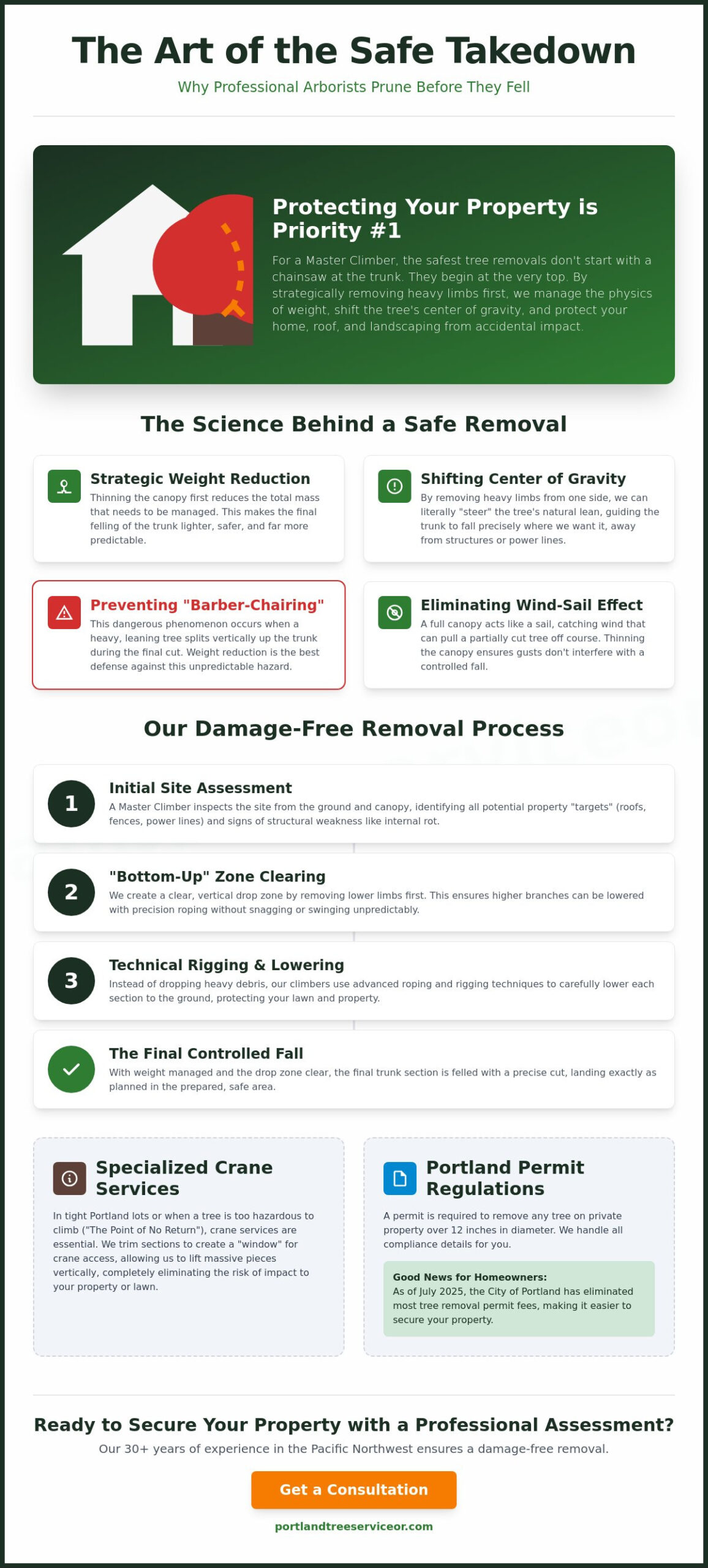 Tree Trimming Before Removal: A Safety Guide for Portland Homeowners