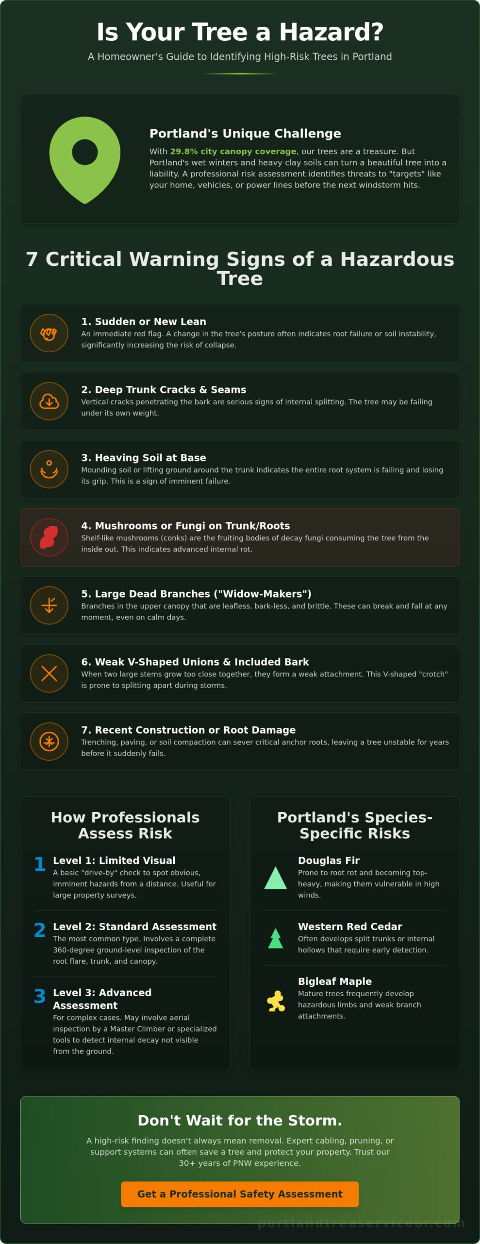 Tree Risk Assessment Guide: Protecting Your Portland Property and Canopy