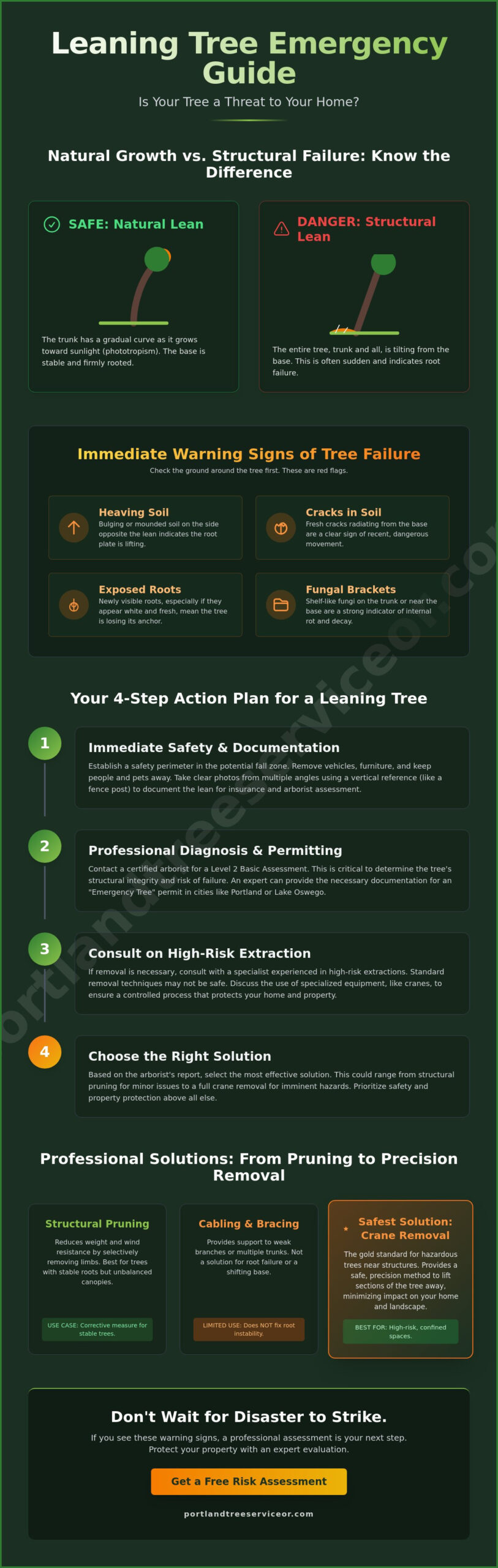 Tree Leaning Towards House: How to Assess Risk and Protect Your Property