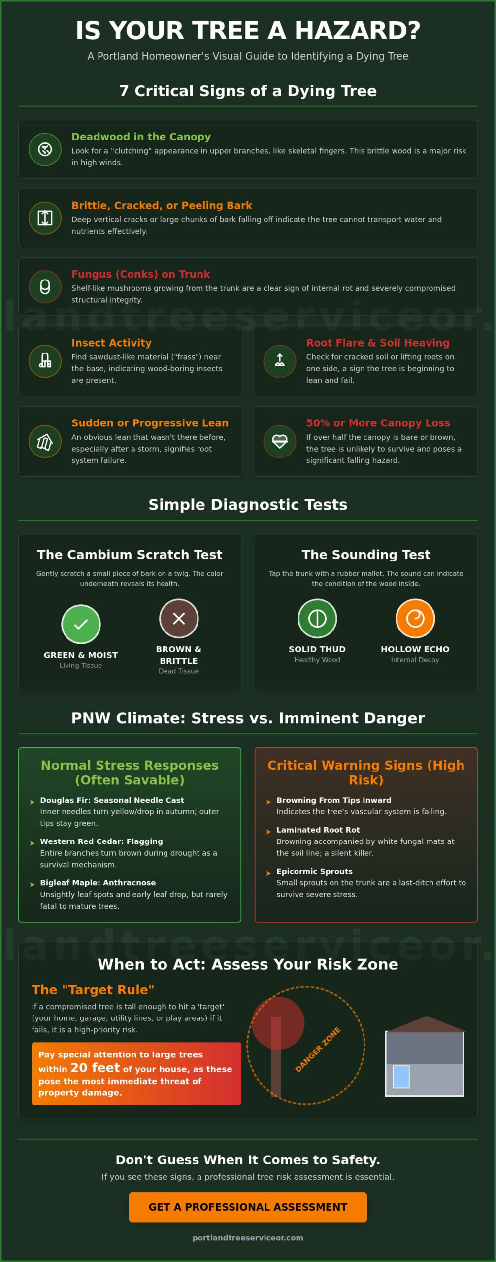 7 Signs of a Dying Tree: A Homeowner’s Checklist for Portland Properties