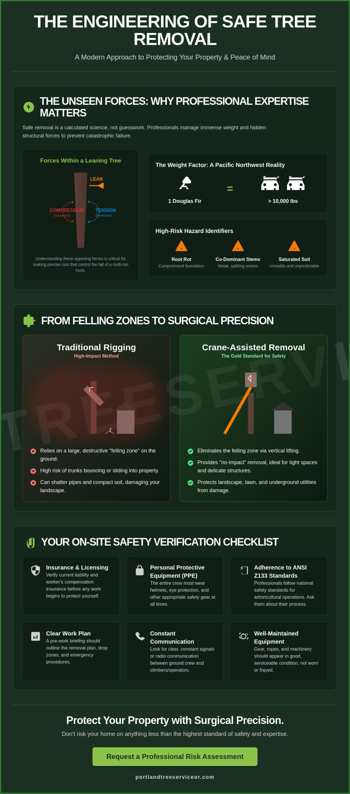 Safe Tree Removal: A Property Owner’s Guide to Professional Standards