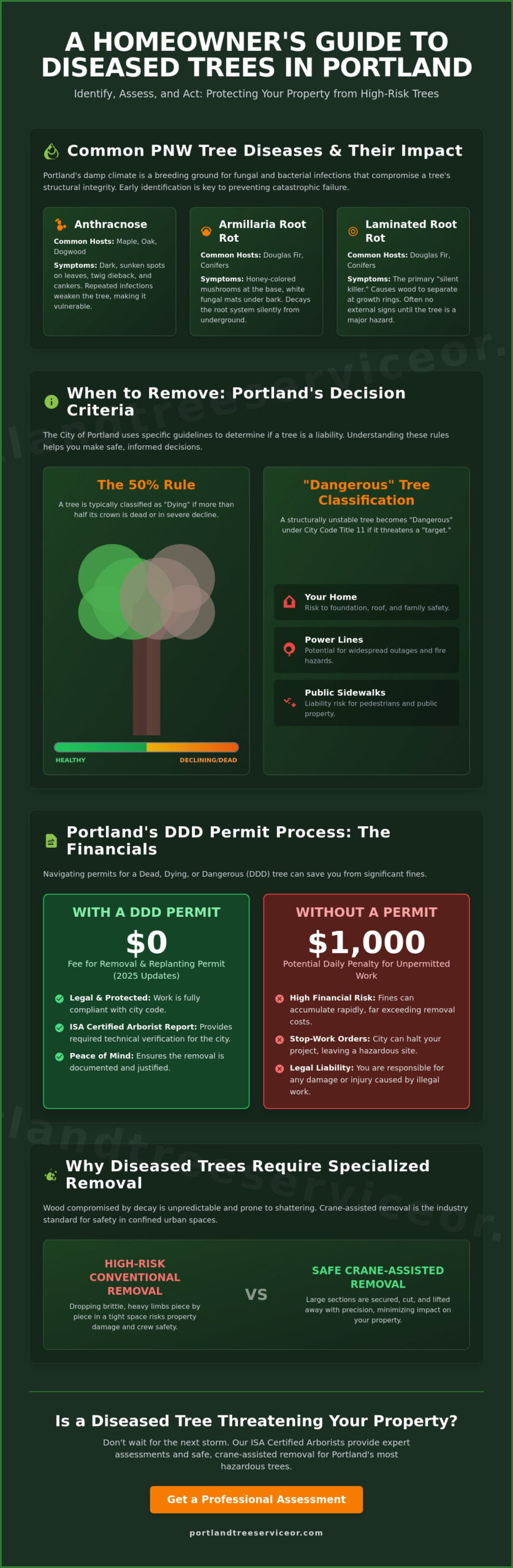When to Remove a Diseased Tree in Portland: A PNW Homeowner’s Guide