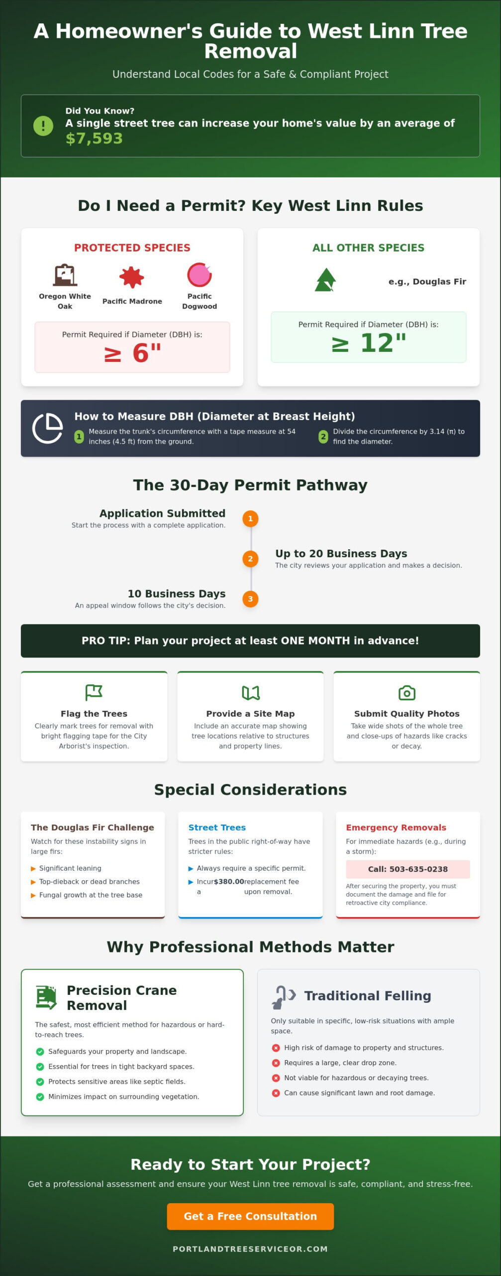 West Linn Tree Removal: A Comprehensive Guide to Permits, Species, and Safety